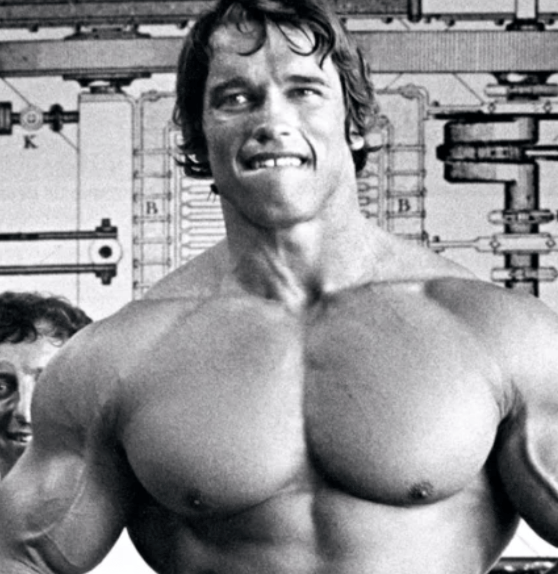 Arnold Schwarzenegger avatar