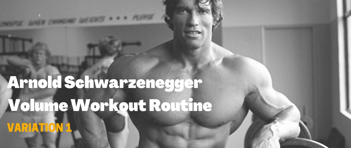 Arnold Schwarzenegger Volume Workout
