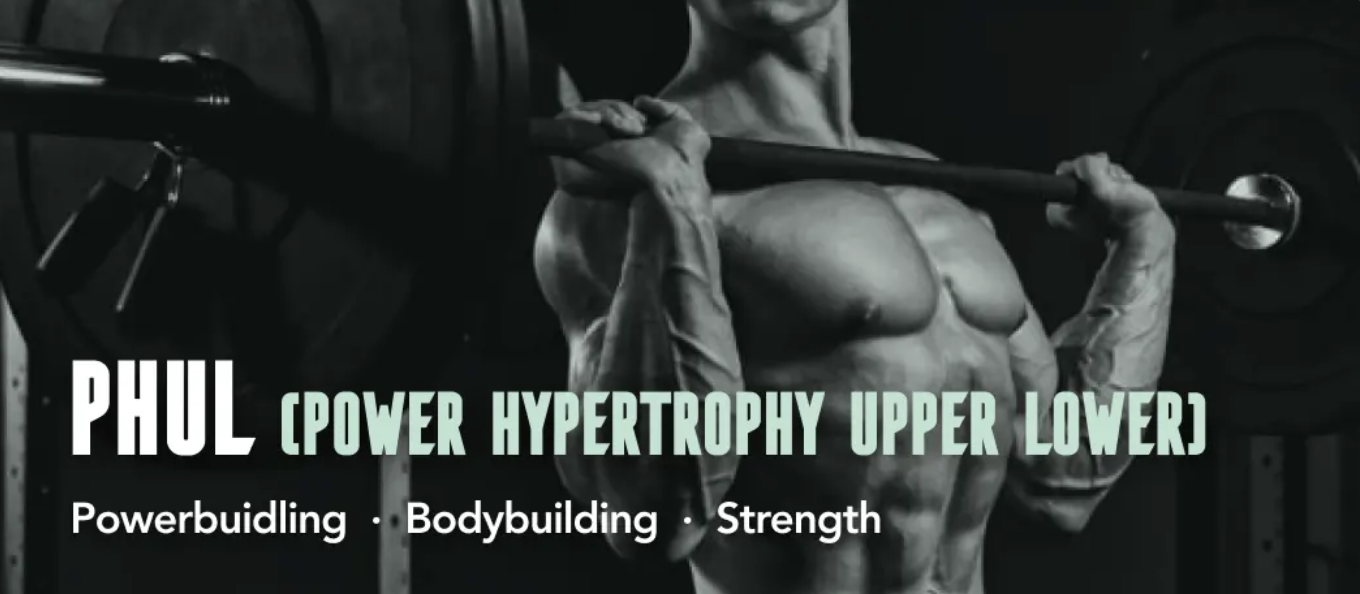 The Ultimate PHUL Workout Guide for Bodybuilding