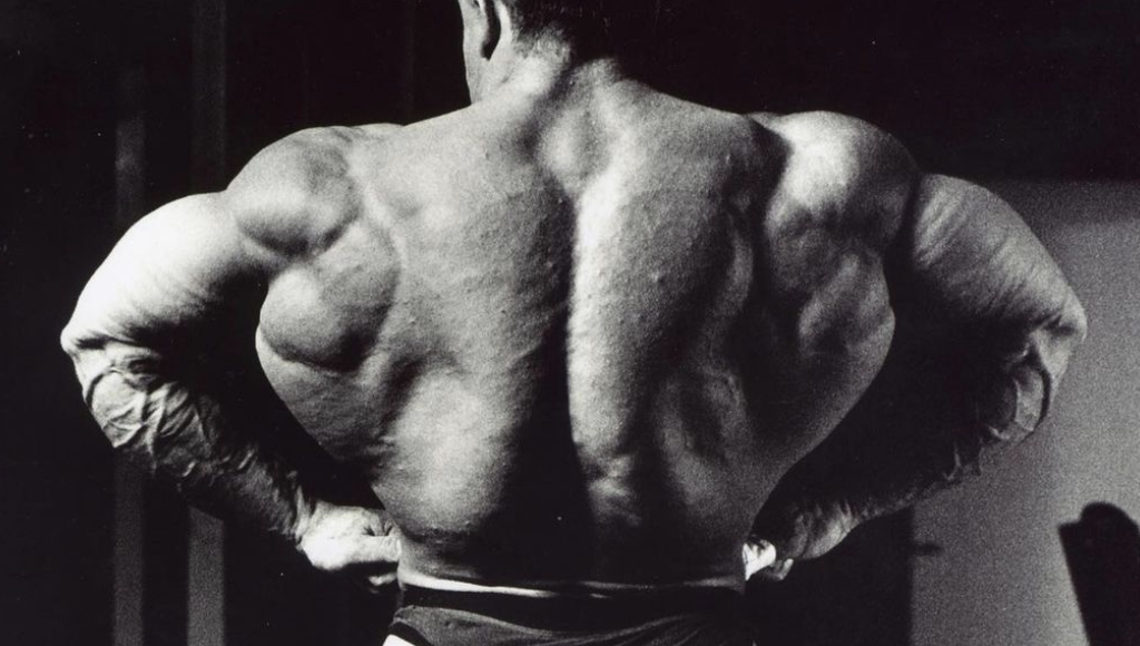 The Top 3 Back Exercises for Size and Strength