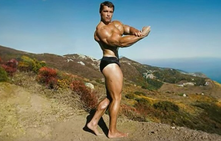 Unleash Your Potential Arnold’s Bodybuilding Blueprint