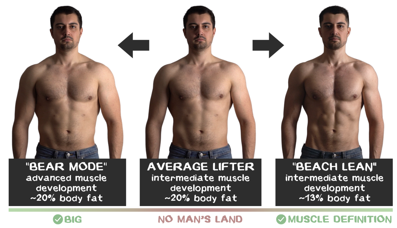 ShredSmart physique progress