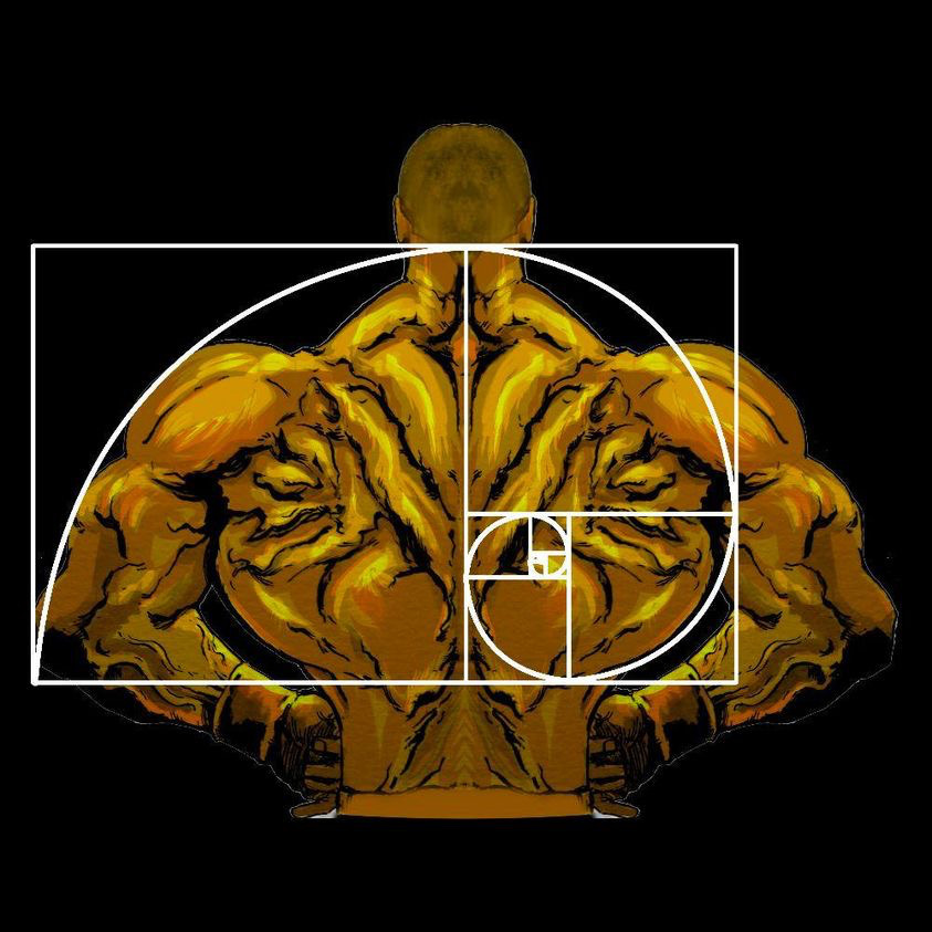 Golden Warrior: Adaptive Hypertrophy Program
